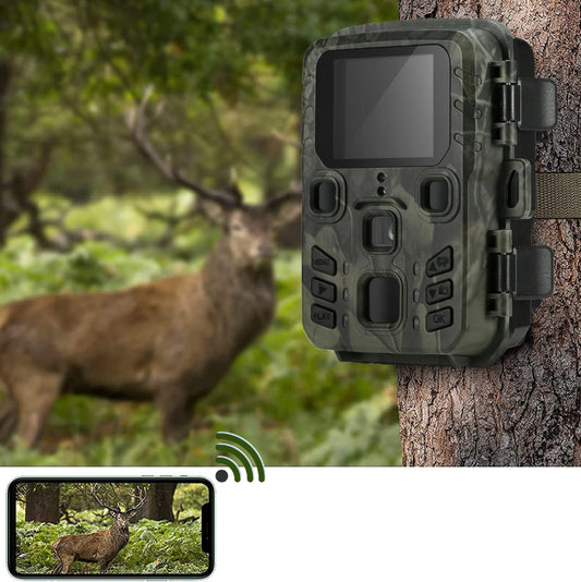 C'est une caméra de chasse attachée à un arbre. Il y a un cerf derrière elle.