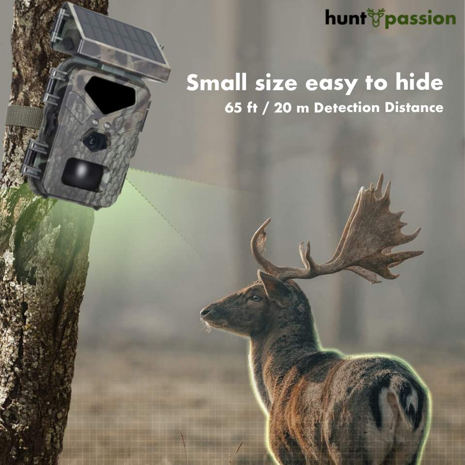 Smart wildlife camera with solar recharge