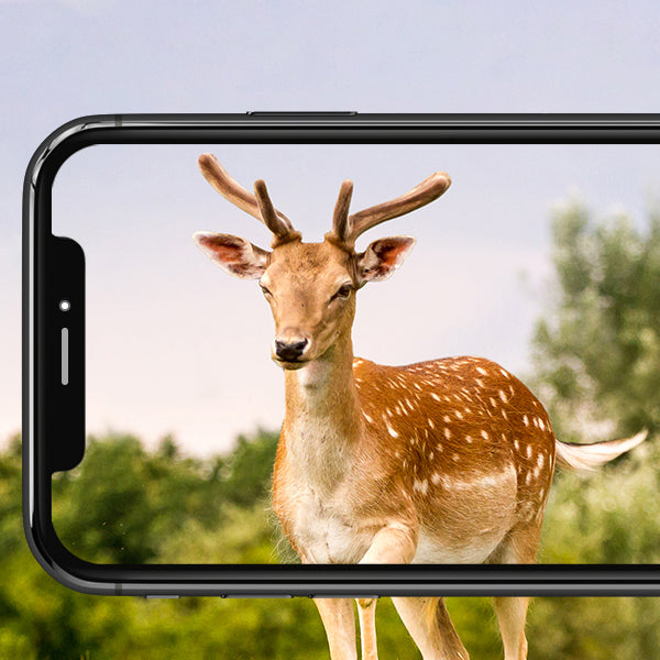 4G smart wildlife camera with mobile app