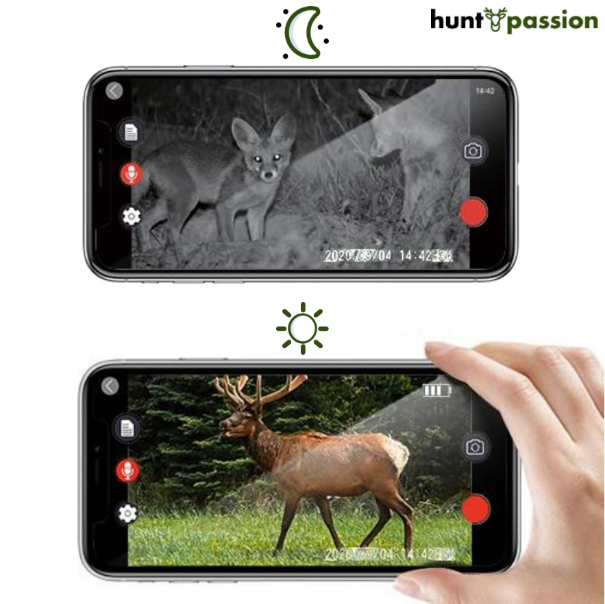 Smart wildlife camera wifi