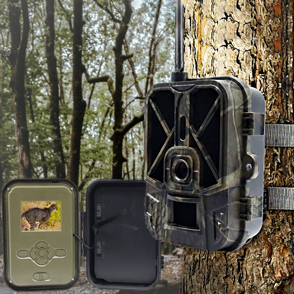 Une caméra de chasse est attachée à un arbre. On voit la caméra de chasse ouverte sur le bas de l'image et une forêt derrière. 