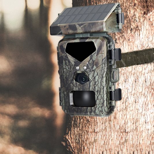 Une caméra de chasse avec un écran solaire pour recharger la batterie est installé sur un arbre en forêt.