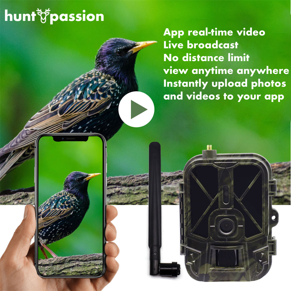 4G smart wildlife camera with mobile app